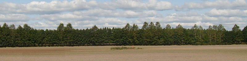 Fläminglandschaft