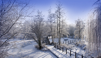 Winter im Spreewald