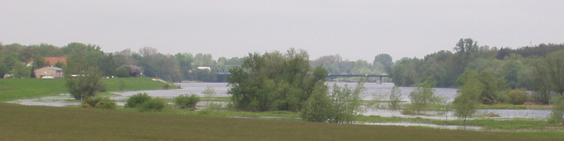 Brücke in Hohenwutzen