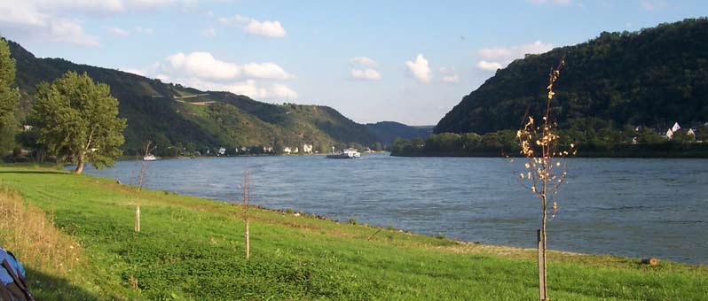 Am Rhein