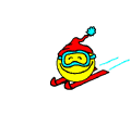 Skifahrer