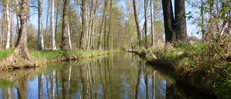 Spreewald-Idylle