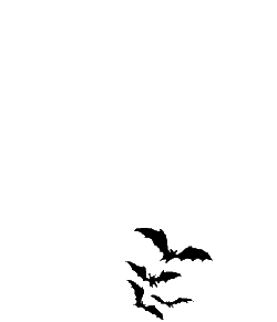Vögel