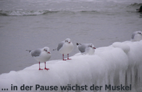 Peters Winterimpression